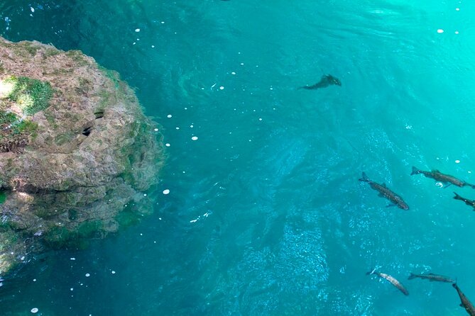 Krka Waterfalls Tour from Split with Boat Ride & Swimming - Who this tour suits best (and who should consider other plans)