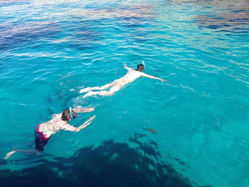 La Ciotat: Calanques Morning Boat Tour with Snorkeling - What to bring (and what rules keep the trip smooth)