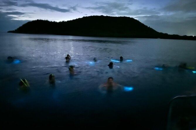 La Parguera Bio Bay Boat Ride and Swimming w/ San Juan Transport - La Parguera bioluminescence: what you’re seeing and why it works