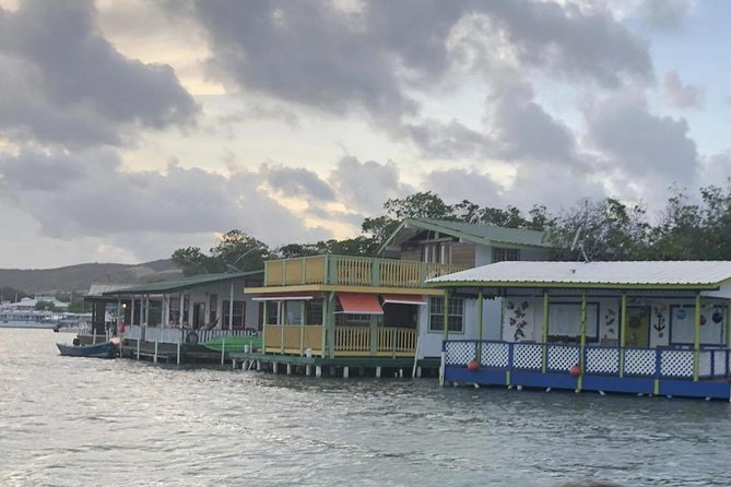 La Parguera Glowing Bioluminescent Bay Boat Tour from San Juan - Guide and captain: why names matter here