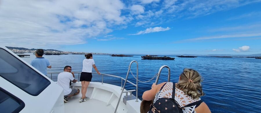 La Toja: Boat Tour at the Arousa estuary with mussel tasting - La Toja Boat Tour Quick Hits: Mussels, Wine, and Estuary Farms