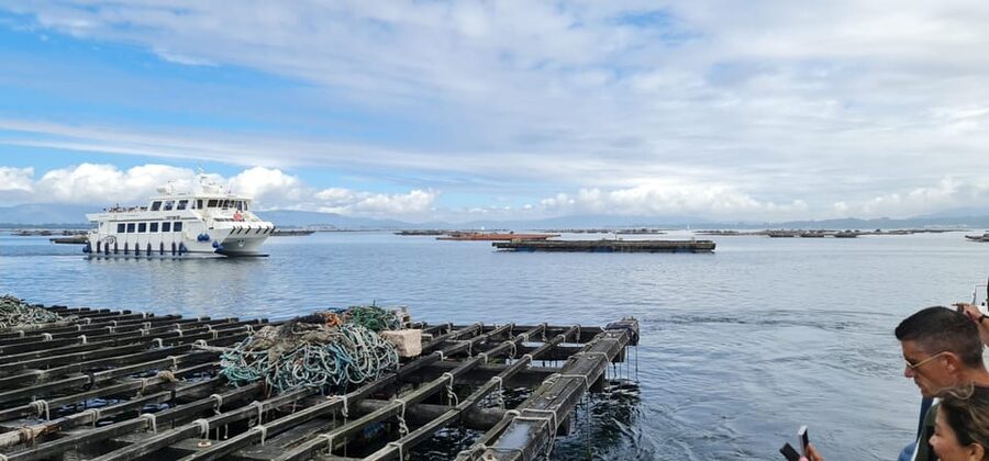 La Toja: Boat Tour at the Arousa estuary with mussel tasting - Setting Off From La Toja: The Catamaran Part