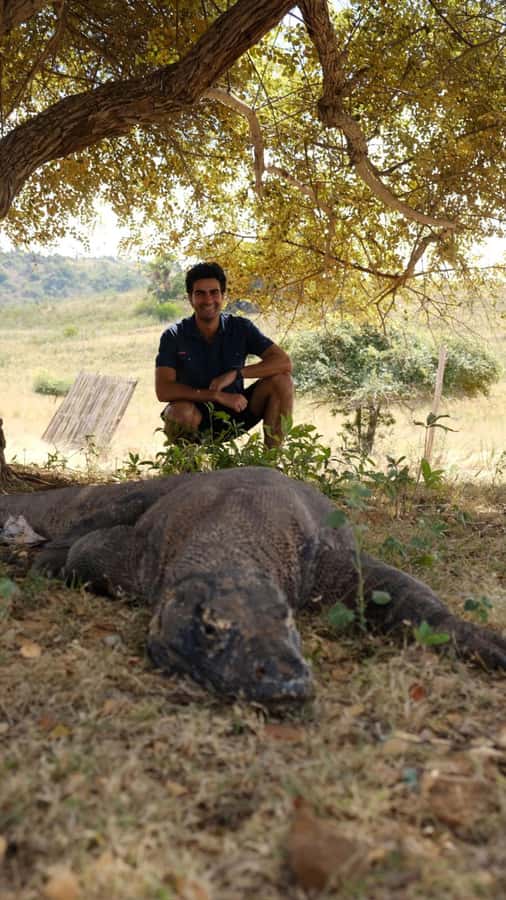 Labuan Bajo: 2D1N Komodo & Pink Beach Shared Boat Tour - Key things I’d plan around