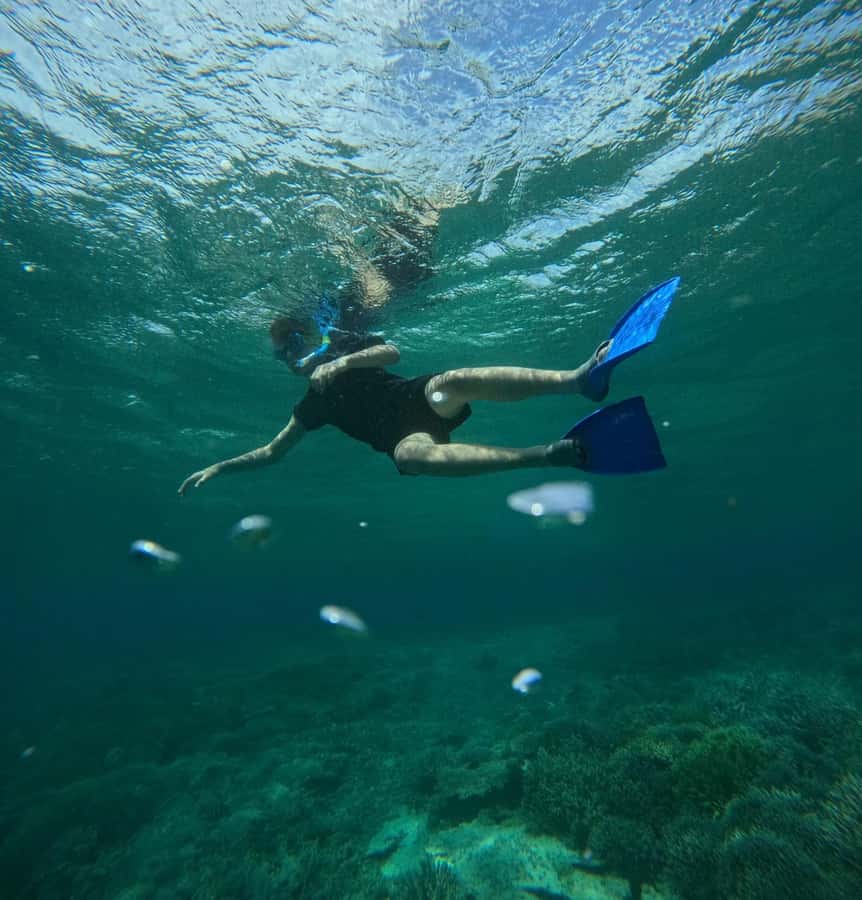 Labuan Bajo: 2D1N Komodo & Pink Beach Shared Boat Tour - Manta Point snorkeling: why you go even if sightings are not guaranteed