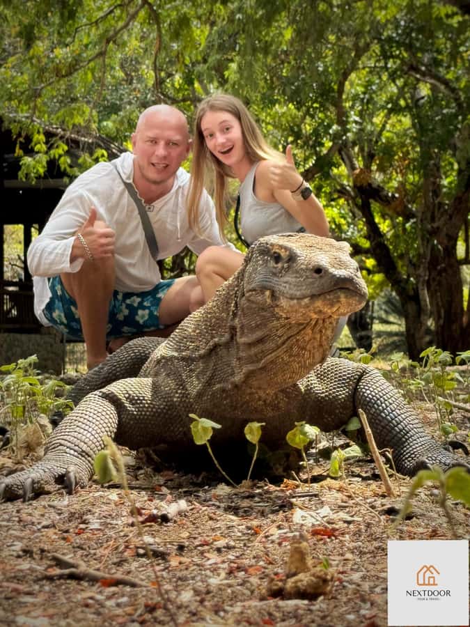 Labuan Bajo: 2D1N Komodo & Pink Beach Shared Boat Tour - Labuan Bajo to Komodo National Park: why this style of tour works