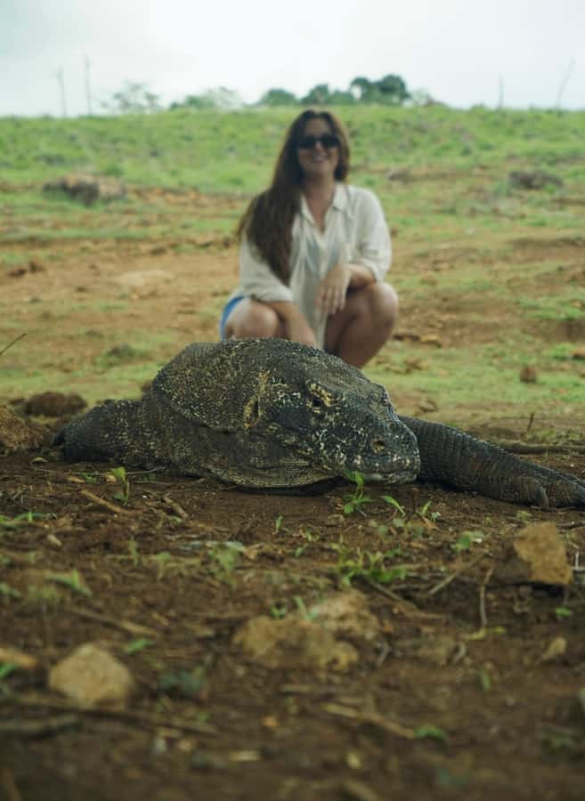 Labuan Bajo: 2D1N Komodo & Pink Beach Shared Boat Tour - Pink Beach swimming: what you can do and what to do respectfully
