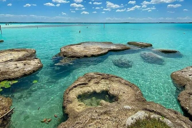 Lagoon of 7 colors from Costa Maya - Boat Tour and transportation - Cenote la witch (black cenote): the deepest stop brings a different mood