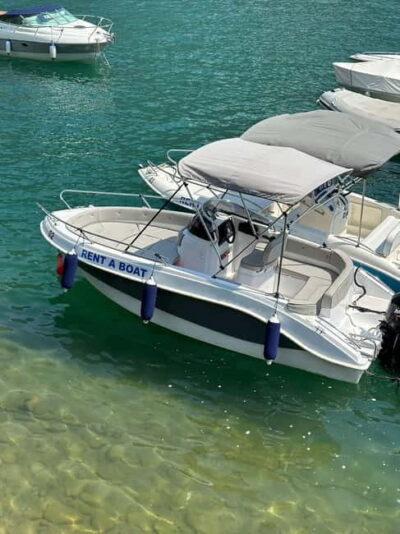 Lake Como: 1-Hour Private Boat Tour With Skipper - Where You Start and How You Find the Boat
