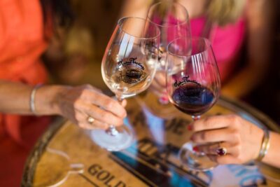 Lake Tahoe: Emerald Bay Wine-Tasting Boat Tour - What you taste: 8 boutique wines with a Northern California focus