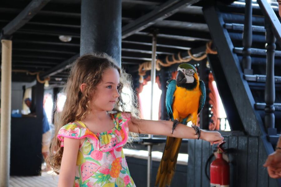 Lampedusa: Pirate Ship Boat Tour with Lunch and Music - Lunch On Board: Simple, Filling, and Part of the Value
