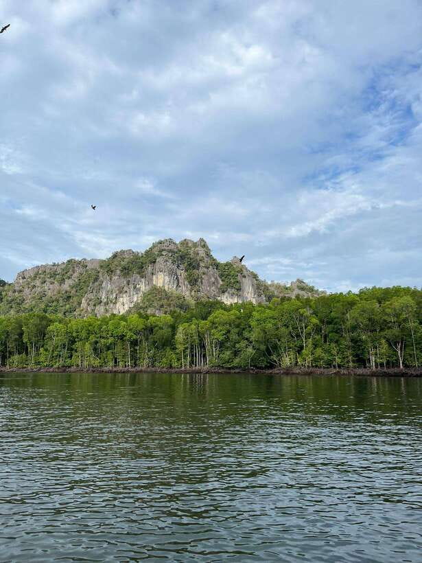 Langkawi: Half-Day Private Kilim River Mangrove Boat Tour - Key things I’d remember from this Kilim boat tour