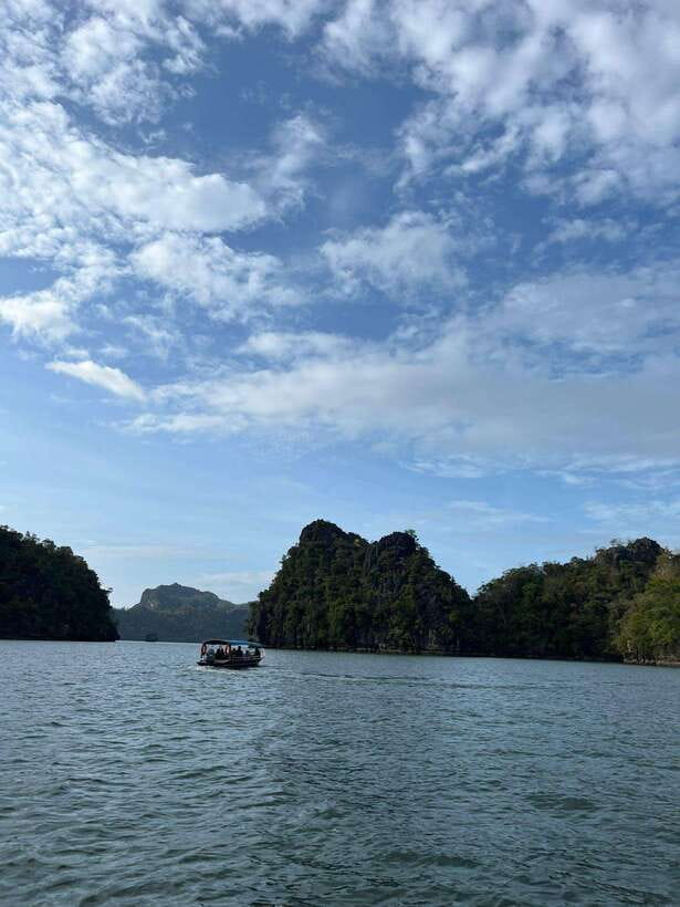 Langkawi: Half-Day Private Kilim River Mangrove Boat Tour - Why this half-day Kilim river tour makes sense in Langkawi