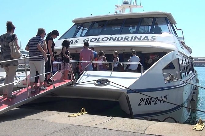 Las Golondrinas Barcelona 60-min Boat Tour - The Big Picture: a budget-friendly hour on Barcelona’s water
