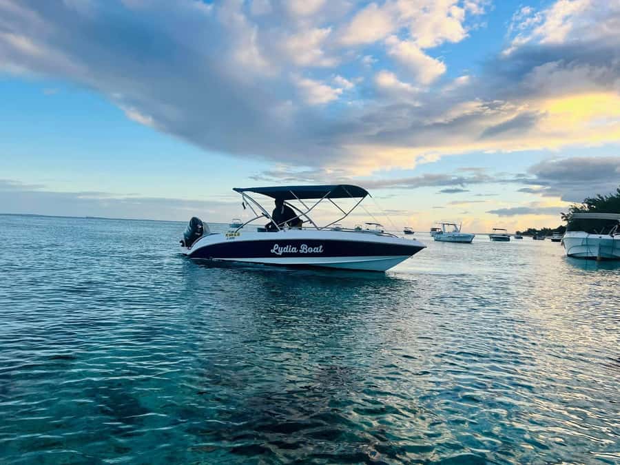 Le Morne: Private Boat Tour Dolphin-Watching & swimming - Key things I’d circle before you book