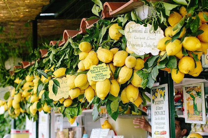 Li Galli Islands and Capri Small Group Boat Tour from Amalfi - Boat comfort, group size, and the crew factor