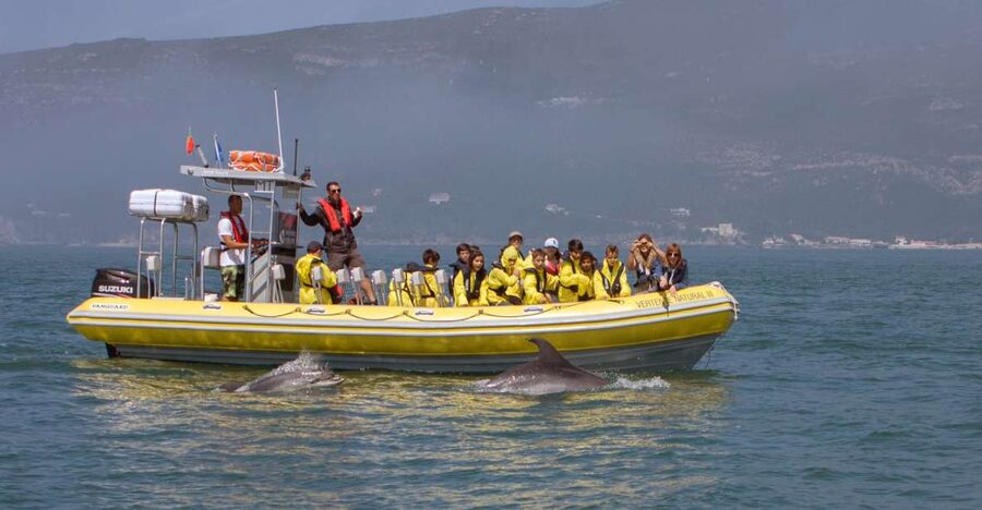 Lisbon: Arrábida Natural Park Dolphin Watching Boat Tour - Key things I’d plan around