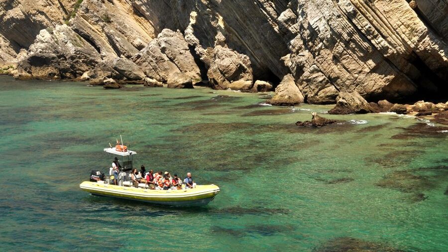Lisbon: Arrábida Natural Park Dolphin Watching Boat Tour - Searching for dolphins inside the marine reserve
