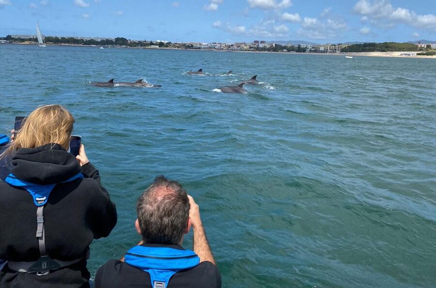 Lisbon: Dolphin Watching with Marine Biologist - Small Group - Photo Stops: Fort of São Lourenço do Bugio and the Cascais Area