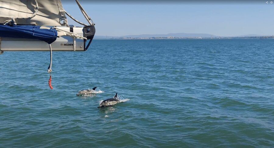 Lisbon: Private Boutique Boat Tour – Sail in Style - The 25 de Abril Bridge and Cristo Rei: the photo moment you’ll remember