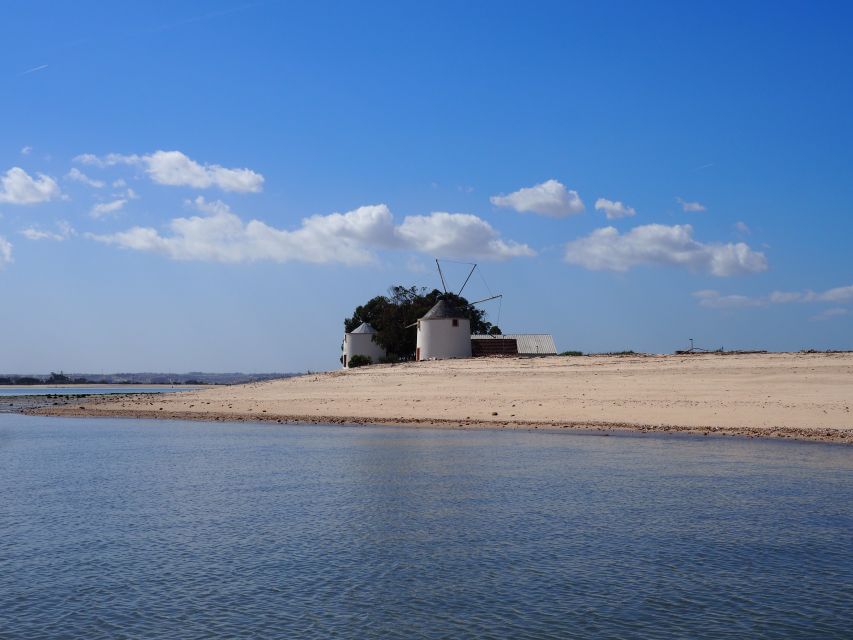 Lisbon: Tagus Estuary Nature Reserve Birdwatching Boat Tour - Parque das Nações photo stop: a quick city-to-nature transition