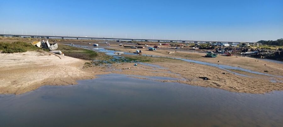 Lisbon: Tagus Estuary Nature Reserve Birdwatching Boat Tour - Price and value: is $58 fair for 3 hours on the water?