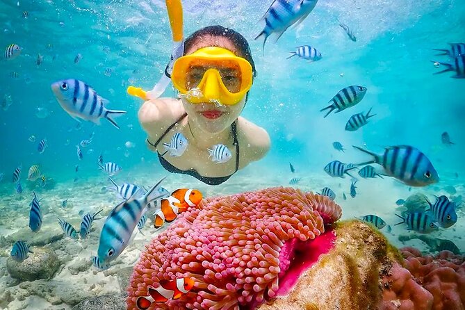 Lombok Pink Beach Boat Trip (Full Day + Snorkeling) - Gili Petel and Gili Gambir: coral time and calm-water breaks