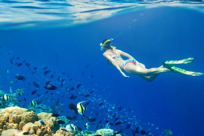 Lombok Pink Beach Boat Trip (Full Day + Snorkeling) - Lunch, bottled water, and why the food is part of the value