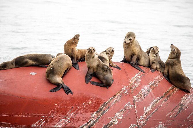 Long Beach Harbor 45-Minute Boat Tour - Key Highlights You’ll Care About