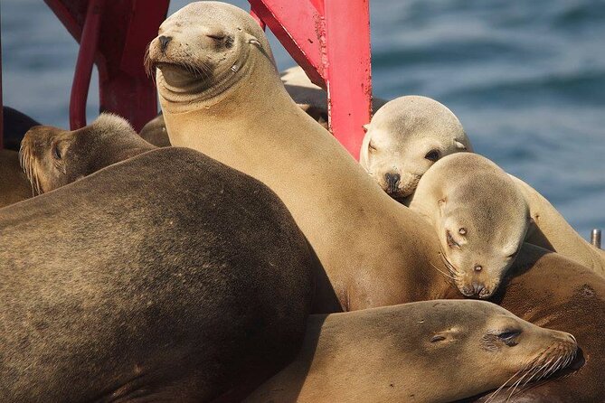 Long Beach Harbor 45-Minute Boat Tour - Seat Choice Matters: Open-Air Deck vs Inside Climate Control