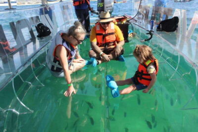 Los Cabos: Transparent Boat Tour with Optional City Tour - City Tour Add-On in Cabo San Lucas: History, Glassblowing, and Tequila