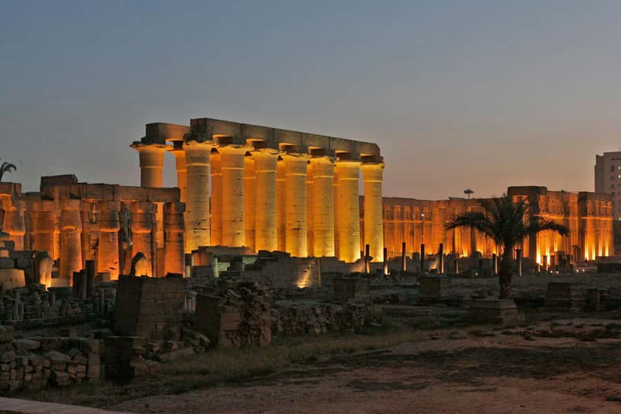 Luxor: Private Felucca Boat Trip with Hotel Pickup - The People and Wildlife Along the Nile: More Than a View