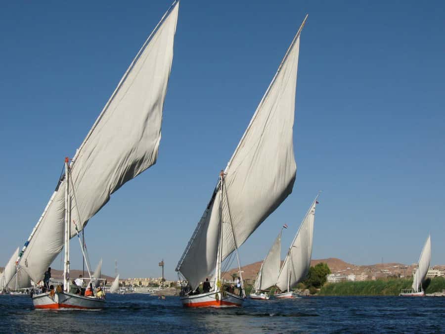Luxor: Private Felucca Boat Trip with Hotel Pickup - When There’s No Wind: The Motor-Boat Plan (Still Worth It)