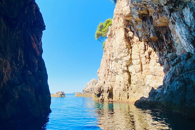 Luxury Private Boat Tour to Elaphiti Islands - Mljet Island: forested island time with turquoise-bay vibes