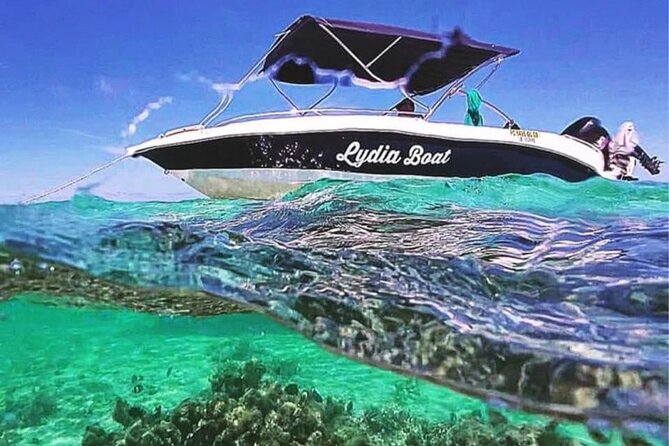 Lydia Boat Mauritius :Private boat tour:Whales&Dolphins encounter - Key highlights you’ll care about