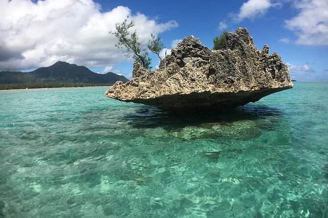 Lydia Boat Mauritius :Private boat tour:Whales&Dolphins encounter - Price and Value: $225.93 Per Person Makes Sense If You Want the Whole Day