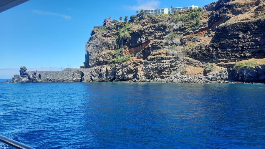 Madeira: Boat Trip with Lunch, Drinks, and Hotel Transfer - Price and value: why $81 can make sense here