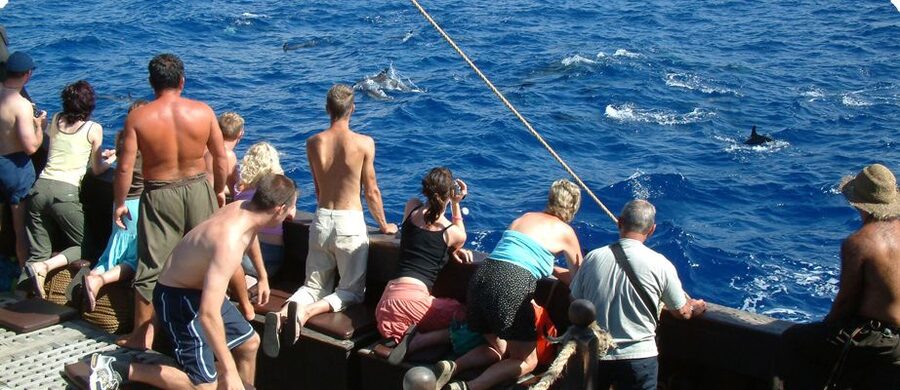 Madeira Pirate Ship: 3-Hour Boat Trip - Santa Maria de Colombo: a real replica with screen-time history