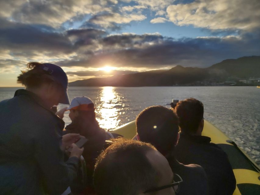 Madeira: Ponta de São Lourenço Lighthouse Boat Tour - Guide languages and onboard comfort: the details that matter most
