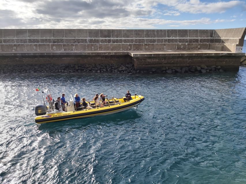 Madeira: Ponta de São Lourenço Lighthouse Boat Tour - Price and value: how $20 fits a lighthouse, nature stops, and a small group