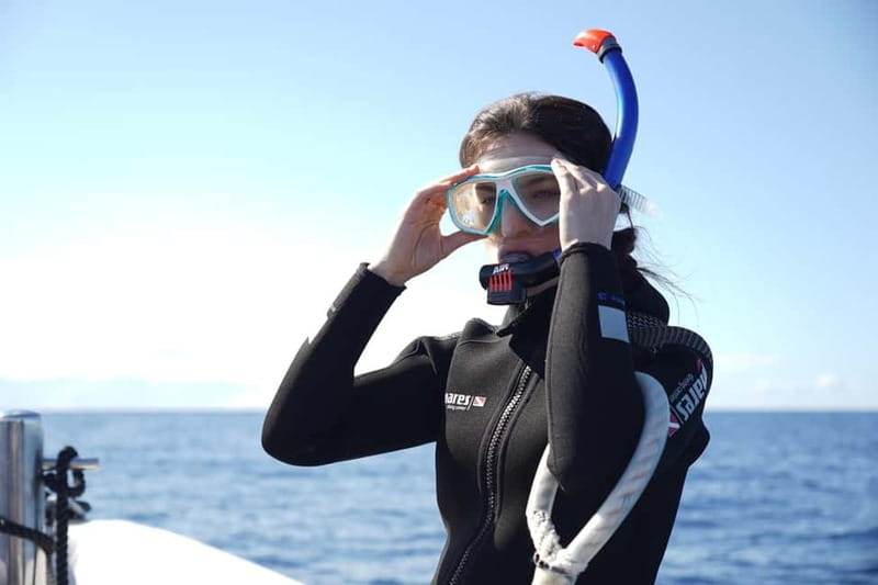 Madeira: Ponta de São Lourenço Snorkeling Boat Trip - Weather and Suitability: When to Go and Who Should Skip It