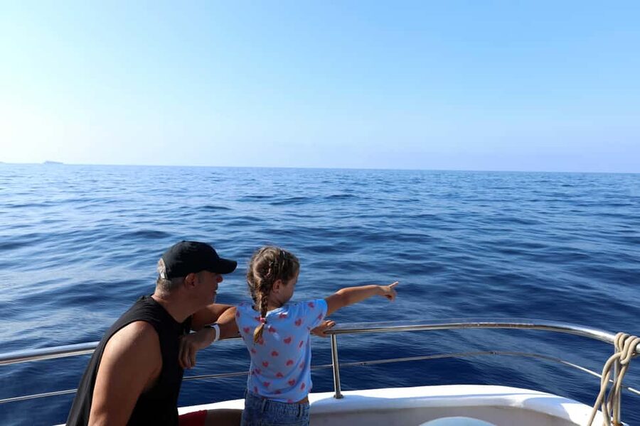 Mallorca: 3-Hour Afternoon Dolphin Watching Boat Tour - The swim stop: crystal-blue water, snorkel gear deposit, and how to be ready