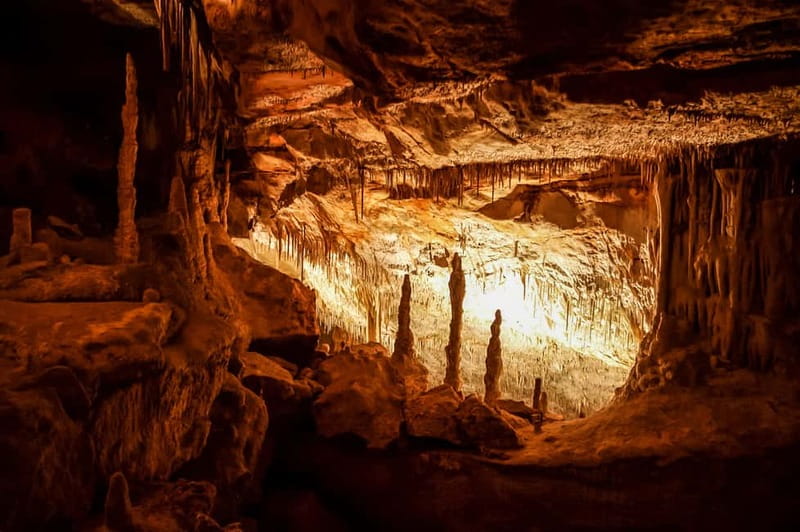 Mallorca: Caves of Drach Tour from the North with Boat Trip - From Alcúdia Pickup to Manacor Pearls: What the Coach Day Really Feels Like