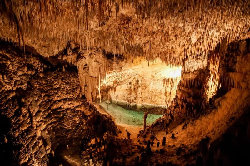 Mallorca: Caves of Drach Tour from the North with Boat Trip - Should You Book the Mallorca Caves of Drach Tour from the North?