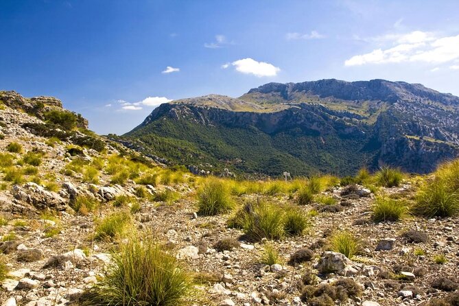 Mallorca in One Day Sightseeing Tour with Boat Ride and Vintage Train - Key highlights to know before you go