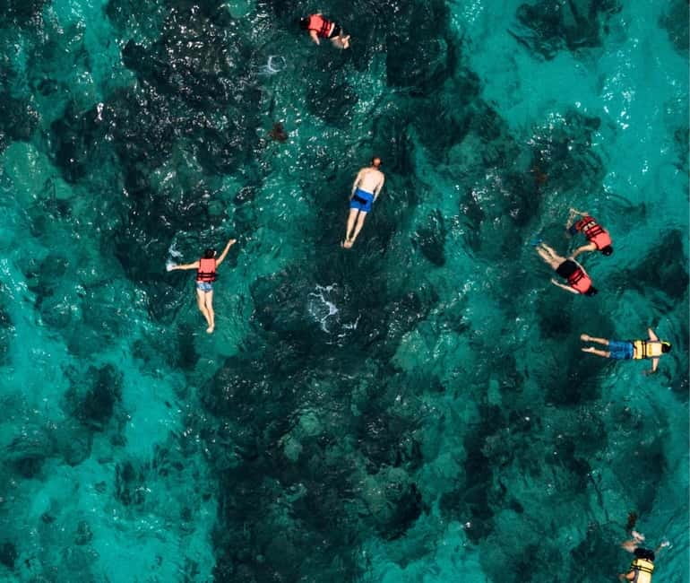 Mallorca: Palma Boat Tour & Snorkeling with Drink Included - Picking the right departure: Can Pastilla for the reserve feel, Palma for more coastline views