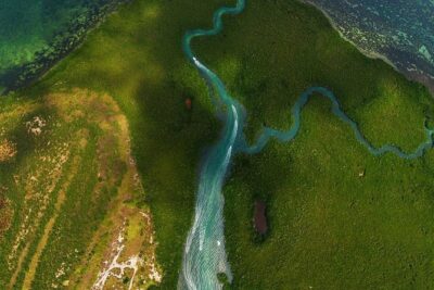 Mangrove and Lagoon Speed Boat Tour - Driving the Speedboat: The Fun Part (and the Rules)