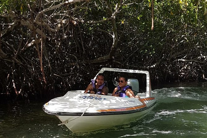 Mangrove and Lagoon Speed Boat Tour - Snorkeling Gear and When You’ll Actually Use It