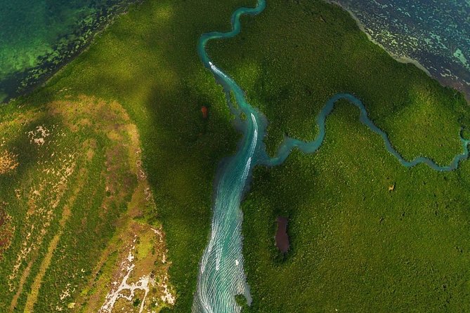Mangrove and Lagoon Speed Boat Tour - Driving the Speedboat: The Fun Part (and the Rules)