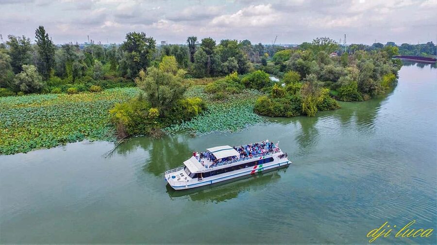 Mantua: Guided Panoramic Boat Tour "City, Lakes, and Natural Park" - Price and value: why $15 makes sense here
