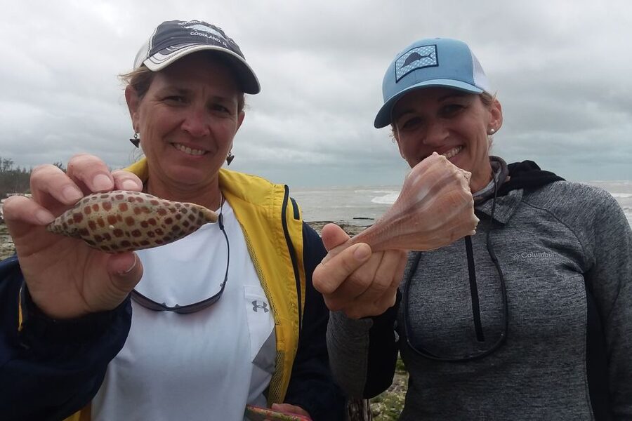Marco Island: 10,000 Islands Shelling Boat Tour - Small-Group Shelling With a Licensed Naturalist Guide